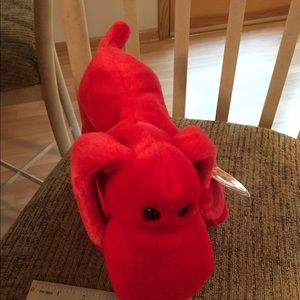 Ty Beanie Buddie Buddy - New with tag, Mint, Cute!